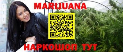 сатива Рязань