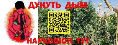 сатива Рязань