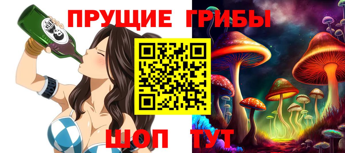купить наркотики сайты  Вход с VPN  Галлюциногенные грибы мицелий  Саянск  Псилоцибиновые грибы Magic Shrooms 